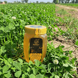 pure berseem clover honey