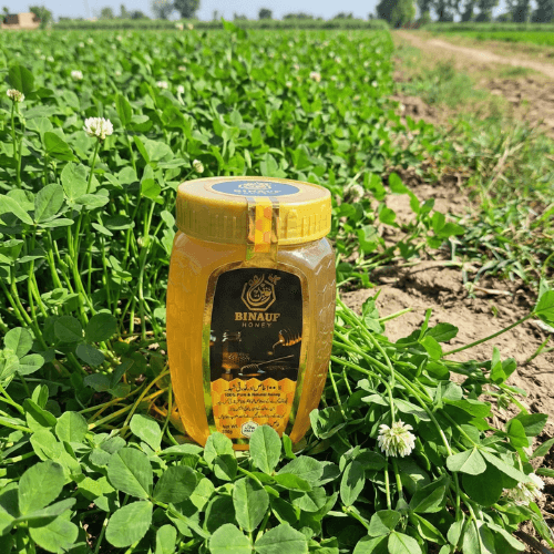 pure berseem clover honey pure berseem clover honey