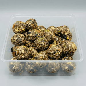Home natural energy balls (pinni)